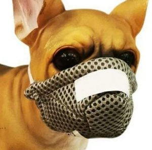 Besay Nylon Face Mouth Mask Anti Dust Pollution Breathable Mask for Pet 